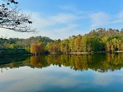 -青龙山国家森林公园