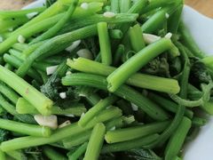 南瓜苗-老根农家饭店