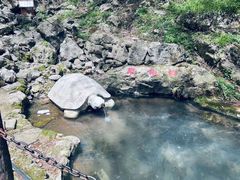 -华阳洞风景区