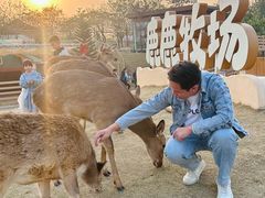 -盈香心动乐园