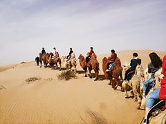 -亿利库布其七星湖沙漠生态旅游区