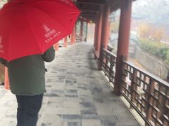 -冶父山国家森林公园
