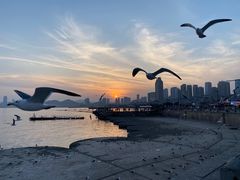 -星海广场