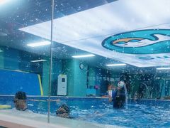 -Swim斯卫姆国际儿童游泳中心(红博中央公园店)