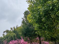 -眉山湿地公园(东坡区)