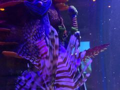 -沈阳海洋探索中心