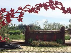iphone_upload_pic-武清南湖绿博园