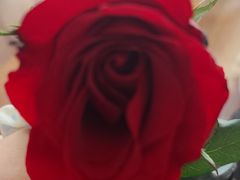 -FEI FEI FLOWER鲜花店·气球派对·宝宝宴布置(虹口德必运动Loft店)