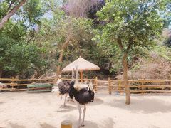 -三亚蜈支洲岛旅游区