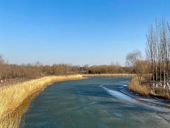 -大兴滨河森林公园