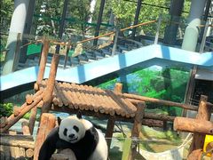 -大连森林动物园