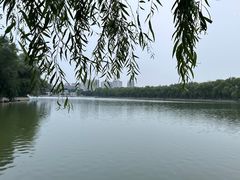 -北陵公园