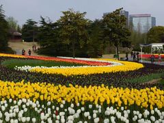 -大宁郁金香公园-停车场