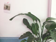 -花沐 FLOWER BATH(凤凰城店)