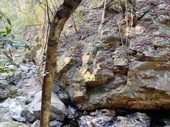 -梧桐山风景名胜区