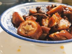 -龙小海荆沙鸽子店(瑞安街店)