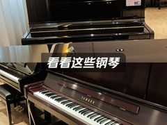 -雅歌音乐培训中心·钢琴培训·乐器培训(交道口店)