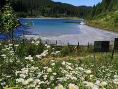 -武陵山森林公园