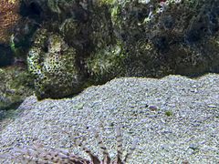 -大连老虎滩海洋公园