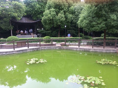 iphone_upload_pic-江湾公园