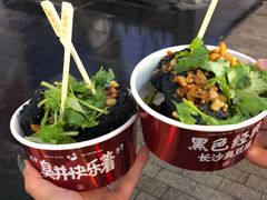 -黑色经典臭豆腐·湖南特产(步行街店)