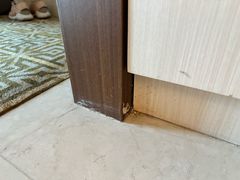-济南喜来登酒店
