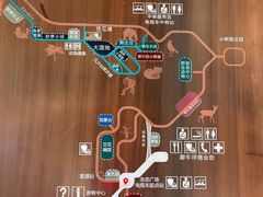 -普洱太阳河森林公园