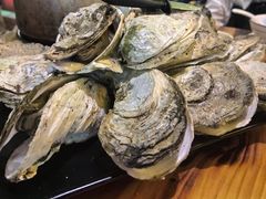 -土蚝·高压锅生蚝(百姓美食街店)