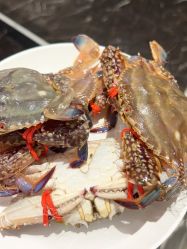 -Oasis Beauty水磨坊科技美肤中心