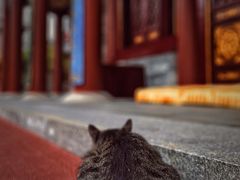 -西安大兴善寺