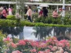 -人民公园(罗湖区)