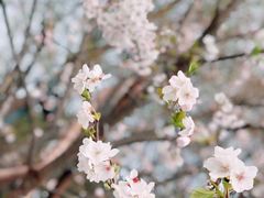 -龙美术馆(西岸馆)