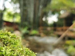 -望江楼公园