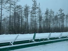 -北极村旅游风景区