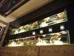 -哈尔滨索菲特大酒店-意日本料理铁板烧