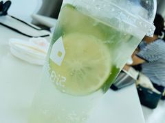 莫吉托-海岛日记(养马岛店)