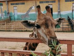 -鄂尔多斯野生动物园