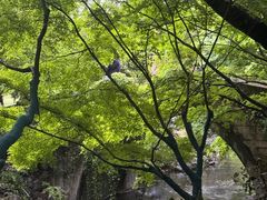 -杭州城中香格里拉大酒店