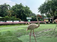 -广州长隆飞鸟乐园