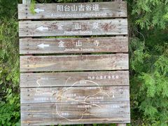 -阳台山自然风景区