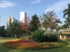 -南宁南湖公园