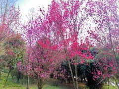 -贵阳市花溪国家城市湿地公园