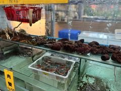 -寻味顺德·南记酒家·传统顺德菜·鱼生(广源路店)