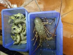 -班赞海鲜市场
