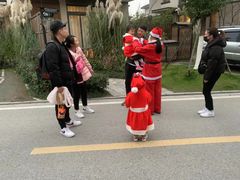-田园东方蜜桃村的田野营地