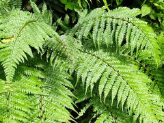 -昆明市金殿名胜区