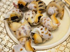 -东方御宴海鲜酒楼(棕泉酒店)