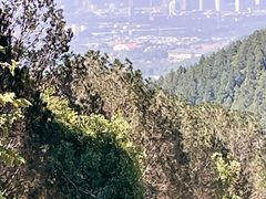 -北京十三陵国家森林公园蟒山景区