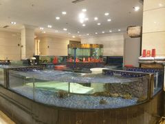 水产区-龙悦湾酒家·八阵鱼生·渔人码头店