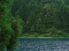 -武陵山森林公园